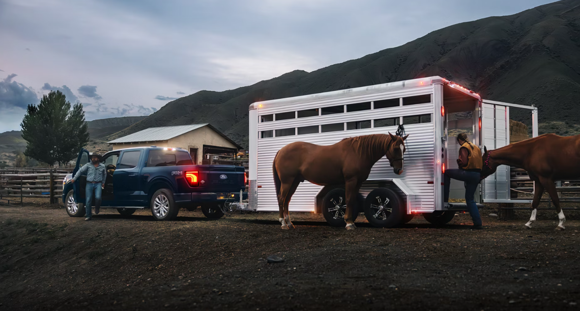 The 2026 Ford F-150 pulling a horse trailer
